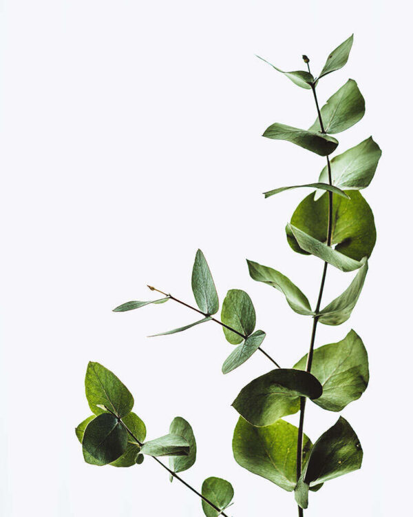 Test Product - Image 4